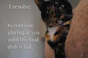 Oh, you say I just put my paw in there to create a hole? Your point? Fill it, wench! Image found on CandidSlice.