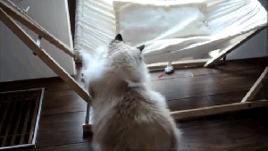 Well, crap ... now I need a massage! GIF found on littlethings.