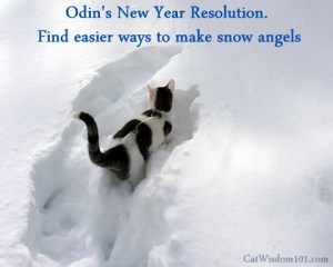 Of course, with the weather we've been having, he'll have to make dirt angels! Image found on catwisdom101.
