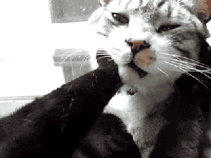 Hey, I said my back hurts, not my face! GIF found on theberry.