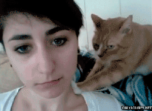 Yeah, this is how I get all of the ladies ... not that I know what to do with 'em after than ... GIF found on ilovefunnyanimals.