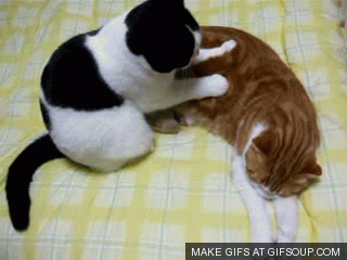 Is there a reason you carry so much tension in your butt? GIF found on giphy.