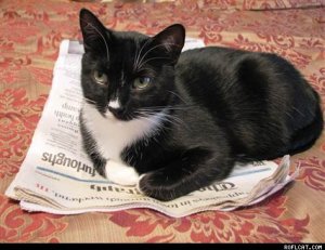 Have you heard the good news? No? Here it is: I might not kill you today. Image found on roflcat.