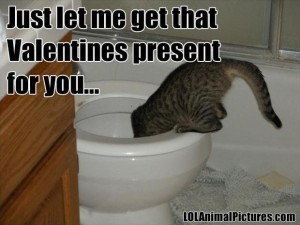 Uhhhh ... yeah ... you really shouldn't have ... Image found on pixshark.