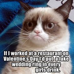 Aww, Tardar Sauce ... you're a cat after my own heart ... Image found on Pinterest.