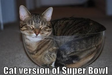 If I'd let him, this would be Luke ... though I don't think I have any bowls big enough ... Image found on cathumor.net.