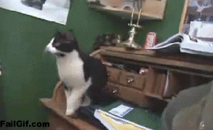 Let me just check that printout ... GIF found on