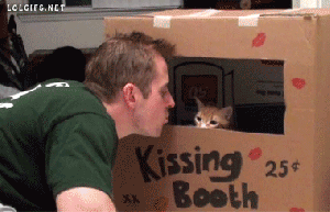 Awwww ... you used the tuna toothpaste I got you! GIF found on CuteCatGIFs.