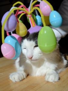 I dare you to check for a surprise in these eggs! Image found on Pinterest.