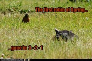 Be vewy, vewy quiet ... Image found on RubMint.