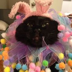 Your death will be slow, bloody, and very, very painful. Image found on Pinterest.