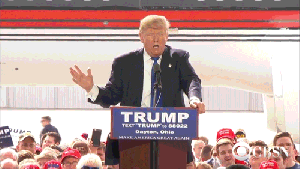 Who let the socialist in here??? GIF found on Forward.