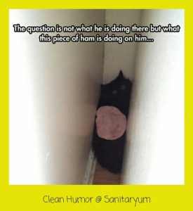 Kind of how I feel right now ... Image found on Google+.