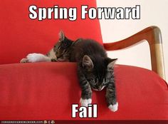 So ... tired ... Image found on Pinterest.