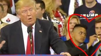 If you can't have fun photobombing a bully by feeding a friend, what are you doing with your life? Image found on Mashable.