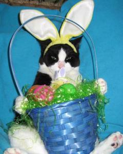 Nope, the basket's all mine. My humiliation has to count for something! Image found on paperblog.