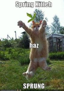 It's spring!!!!!!!!!!!! Image found on gocomics.