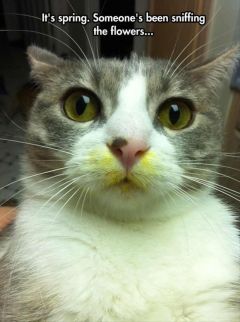 Why you call me Buttercup, Mom? Image found on QuotesGram.