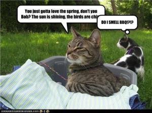 Smells like ... pulled pork ... DIBS!!!!! Image found on crazyrunninggirl.