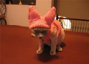 No, Grandma, it wouldn't be a bad idea for you to find a better use for your time. Image found on theverybesttop10.