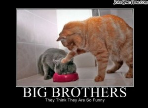 Well, mine actually are sometimes ... Image found on JokeOverflow.