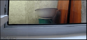 Did he see me? Crap! GIF found on Imgur.