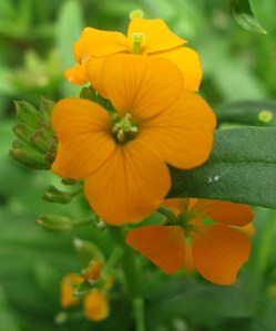 This is me at a party ... total wallflower!