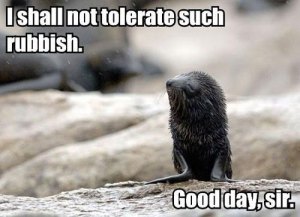 The seal speaks for me. Image found on ThumbPress.