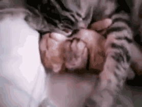 Baby, it's just a bad dream ... Mama's got you! Image found on Fallen Earth Roleplayer's Haven.