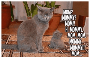 Pretty much every morning for me. Good thing the boy's cute! Image found on Sizzle.