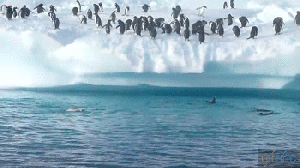 Hey, I can do that! Oh crap, no, I can't. GIF found on gifrific.