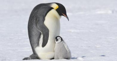 Thanks, Pop, for being there for me. Could you go away now? Image by Thomas Kokta, Getty Images, found on Discovery Kids.