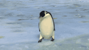 La la ... laaaah! Damn ice hole! GIF found on wifflegif.