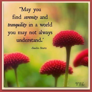 Image found on QuotesGram.