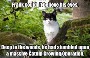 He would tell no one. NO ONE. Image found on FanPop.