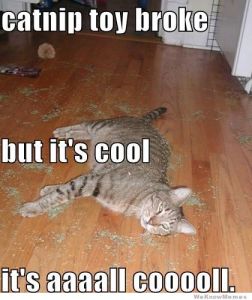 Naw, don't worry about sweeping. I'll take care of it. It's cool. Image found on WeKnowMemes.