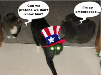 Are you gonna let him go out dressed like that, Mom? Image found on Catladyland.