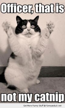 I'm just holdin' it for a friend! Image found on FunnyAsDuck.