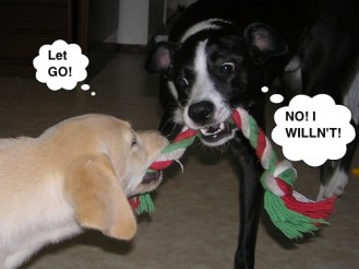 Yeah, this one would not make it past my purple pen ... Image found on Kibin.