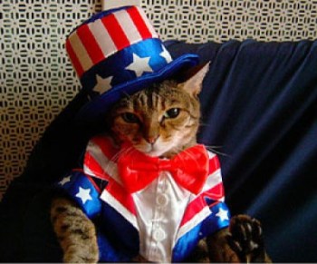 I think in this instance, the red will be your blood, the white your bones, and the blue the color of your bruises. Image found on PopHangover.