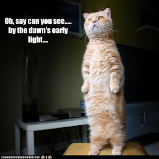 Let's all stand for the national anthem of Ameowica! Image found on Gleamings from the Golden Dawn.