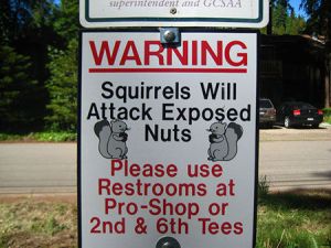 Consequently, I don't go out much when the squirrels are about ... Image found on MadCow.