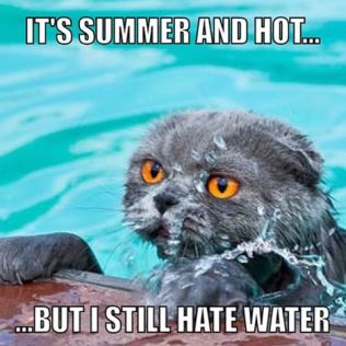 Someone told me there was tuna in here. He lied. Image found on imgrum.