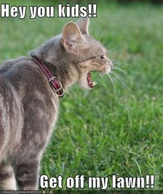 Stop diggin' up my plants! That's my job! Image found on Pinterest.