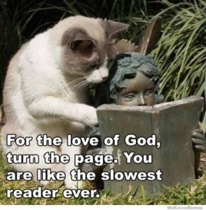 Why did I join your book club? Image found on Pinterest.