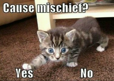 I've really behind on the mischief, people. Outta my way! Image found on Pinterest.