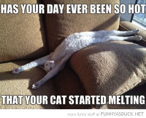 C'mon, doofus! Ice cream, STAT!!! Image found on funnyasduck.