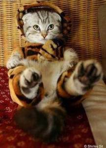 Redundant but frickin' adorable! Image found on CuteNTiny.