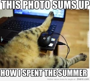 Hey, what have we not watched on Netflix? Image found on 2nerd.