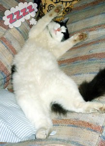 And don't you forget it!